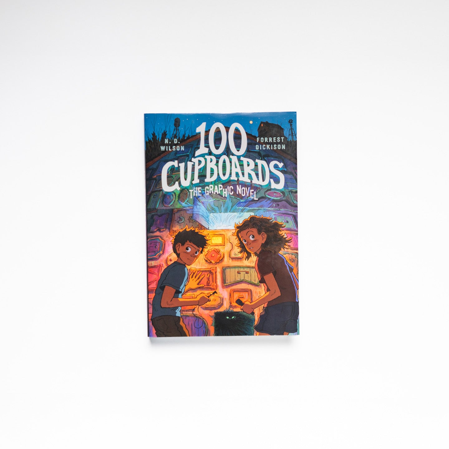 100 Cupboards Graphic Novel