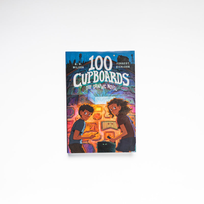 100 Cupboards Graphic Novel