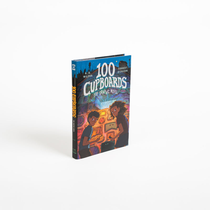 100 Cupboards Graphic Novel