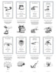 The Amazing Dr. Ransom's Bestiary of Adorable Fallacies